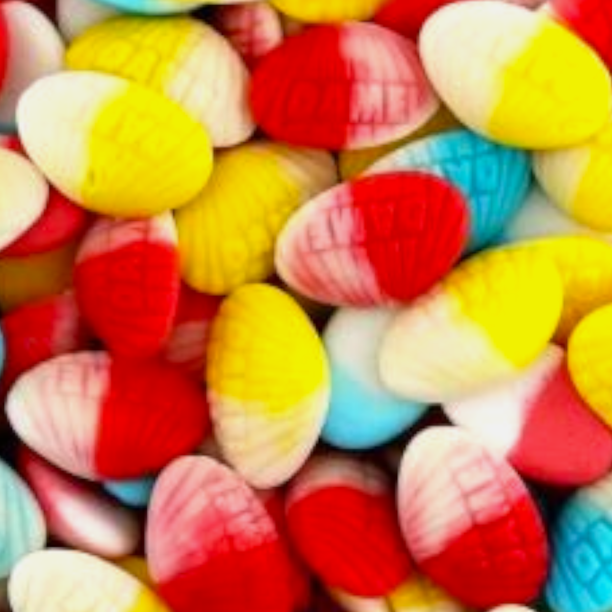 Palourdes (100g)