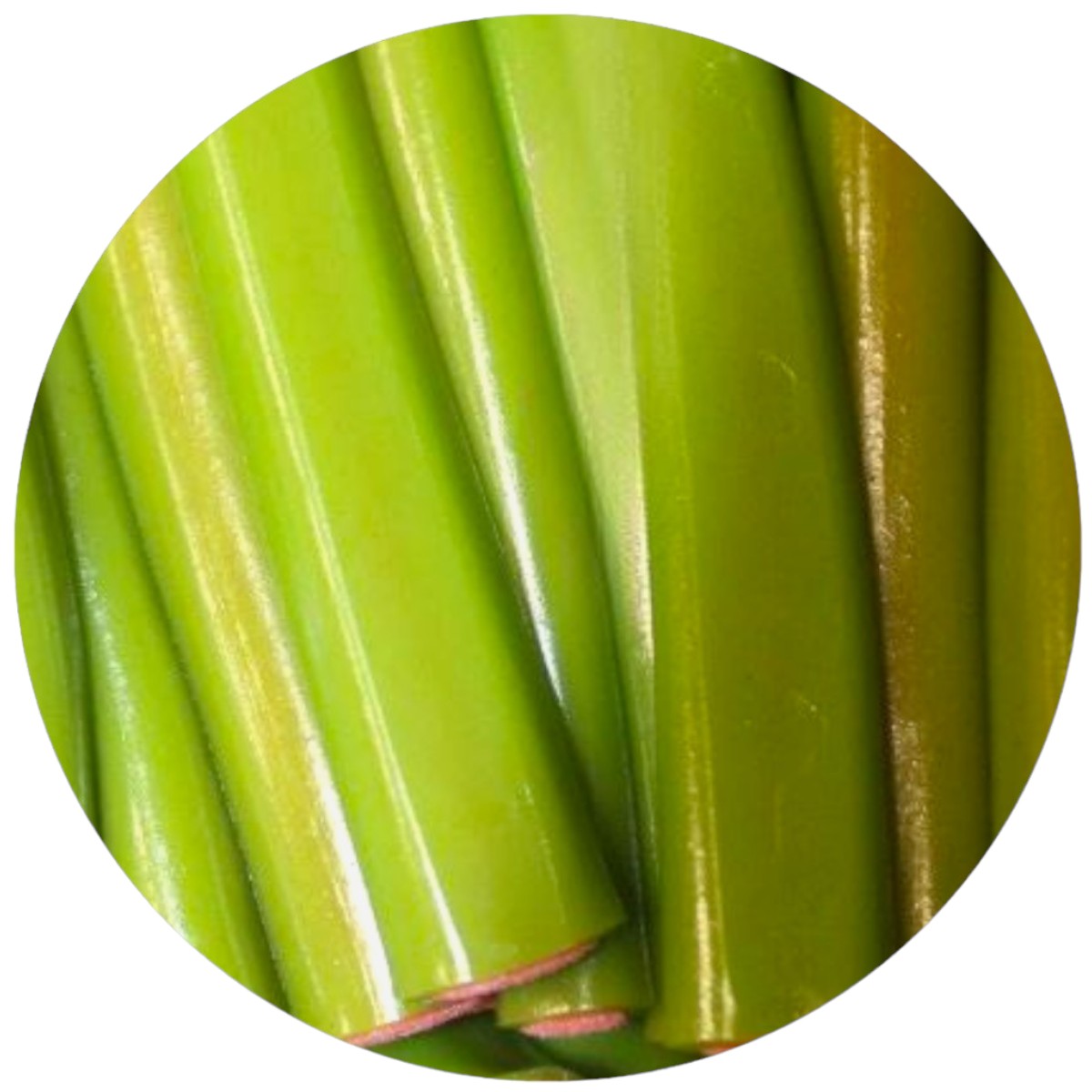 Classic gradient 01-Photoroom (56)-Photoroom.jpg