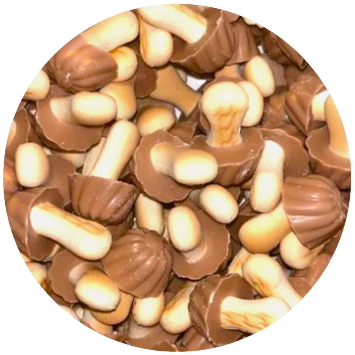 New Template-Photoroom (10)-Photoroom.png