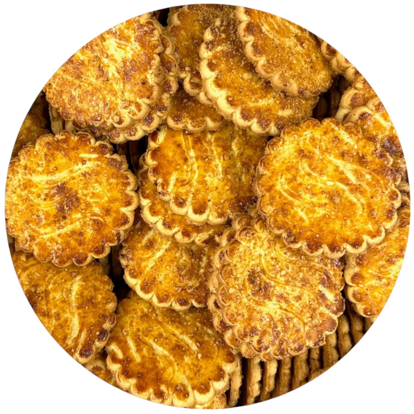 Classic gradient 01-Photoroom - 2024-09-03T213339-Photoroom.jpg