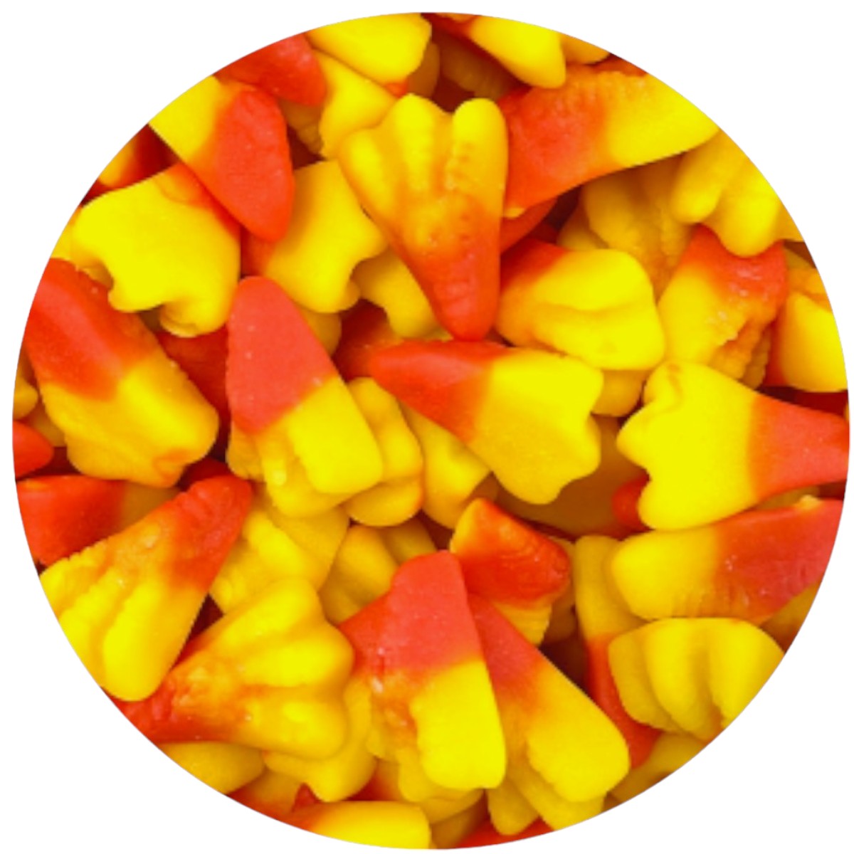 Classic gradient 01-Photoroom (69)-Photoroom.jpg