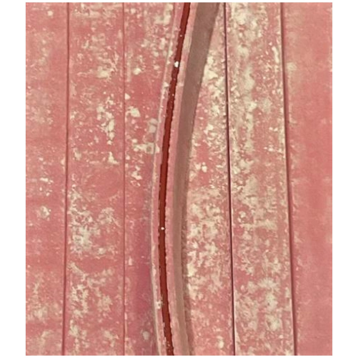 Classic gradient 01-Photoroom - 2024-09-25T211049-Photoroom (5).jpg