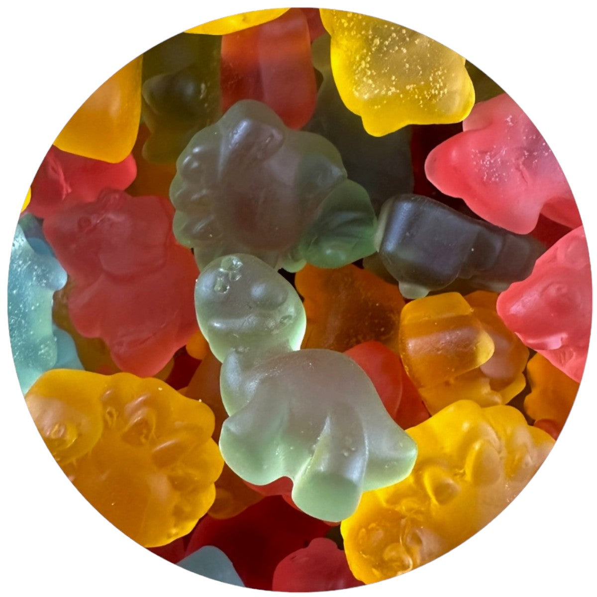 Classic gradient 01-Photoroom (52)-Photoroom.jpg