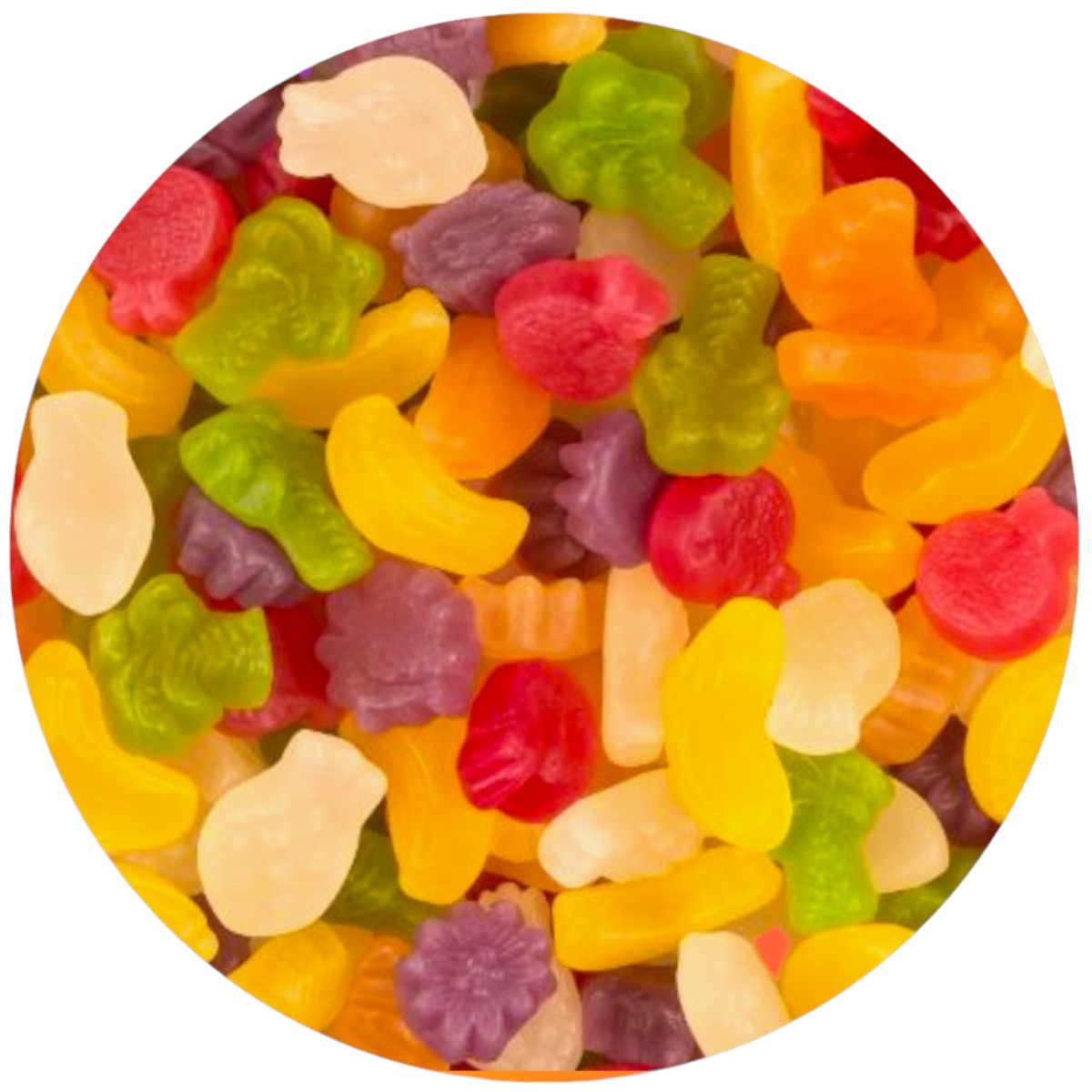 Classic gradient 01-Photoroom - 2024-09-25T211049-Photoroom (2).jpg
