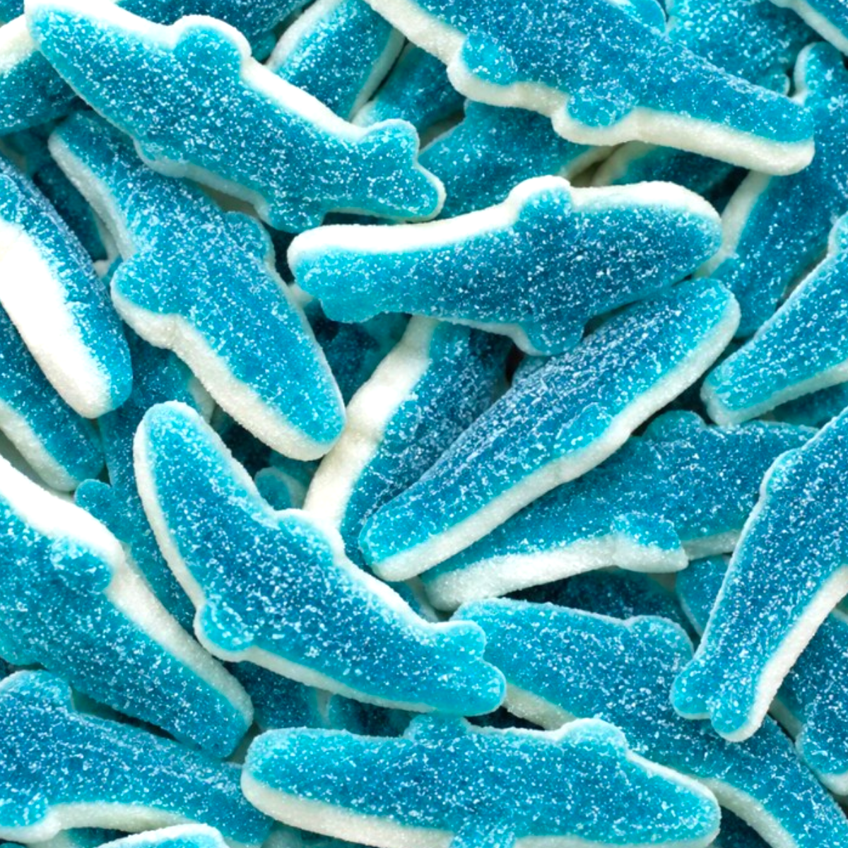Crocodile Bleu Lisse Bebeto (100g)