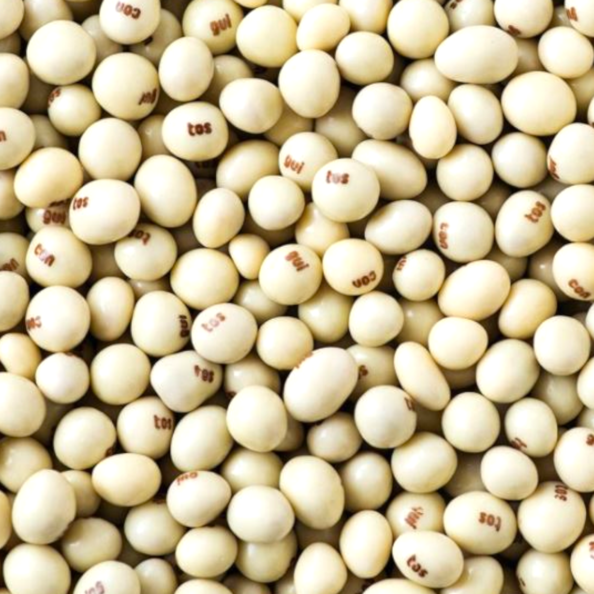 Cacahuètes Grillées Enrobées de Chocolat blanc (100g)