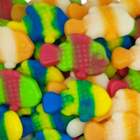 Poisson Clown (100g)