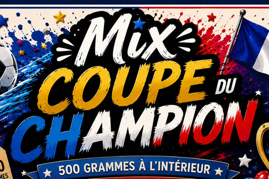 Sac mix coupe du champion