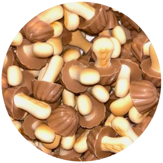 New Template-Photoroom (10)-Photoroom.png