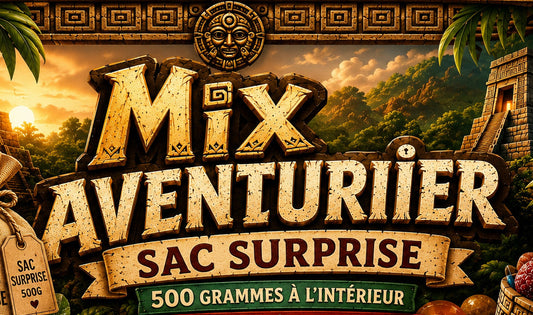 Sac mixAventurier