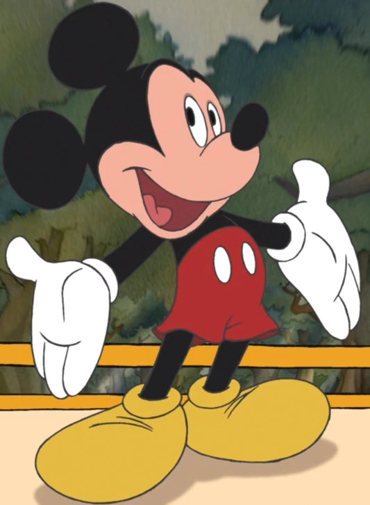 Sac surprise disney