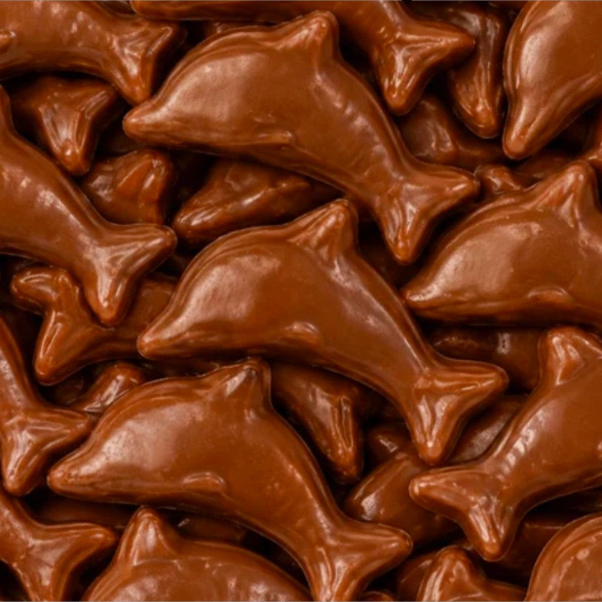 Guimauves Dauphin Chocolat -Chocolats Suédois (100g)