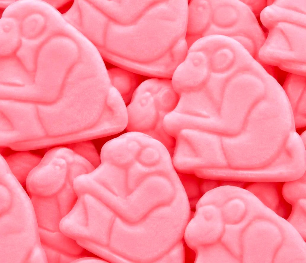 Foamy Zoo Monkey - Bonbons Suédois (100g)