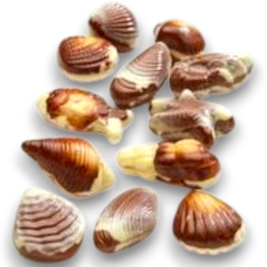 Fruits de Mer Chocolat et Praliné (100g)