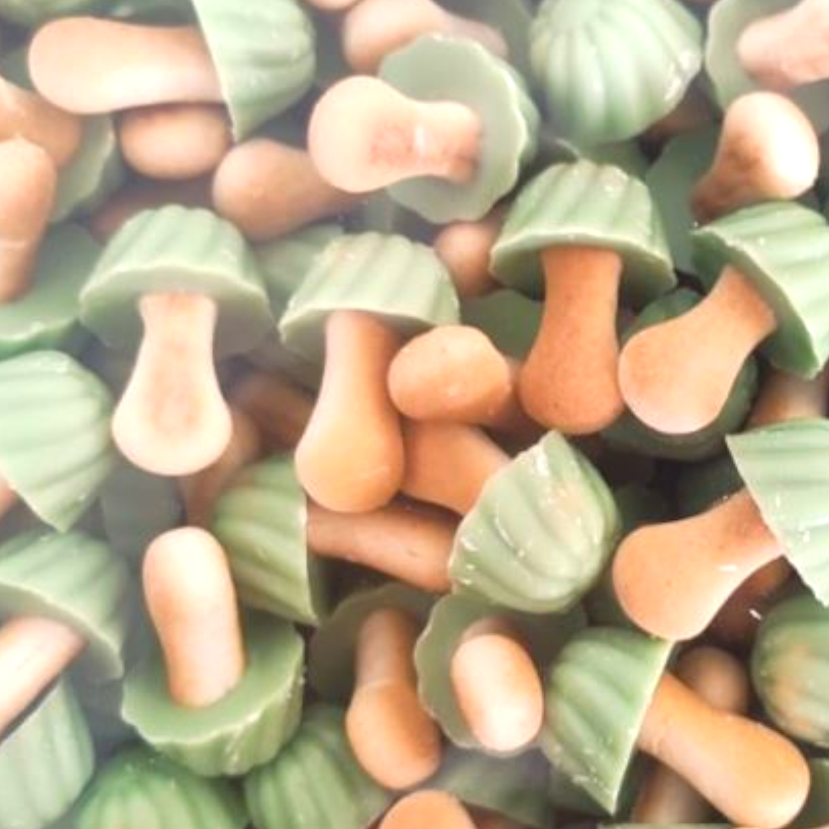 Champignons Aromatisés à la Pistache (100g)